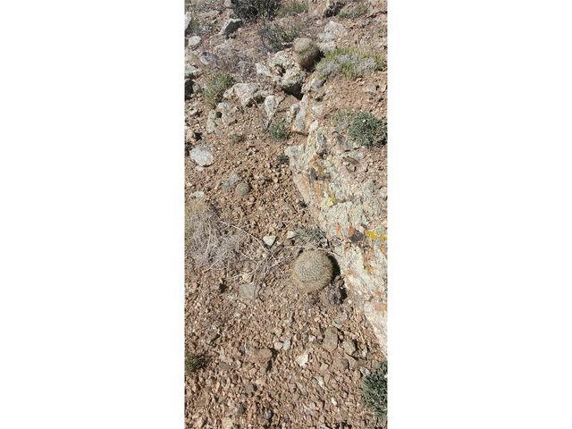 5820 Covington Rd, Fort Garland, CO 81133