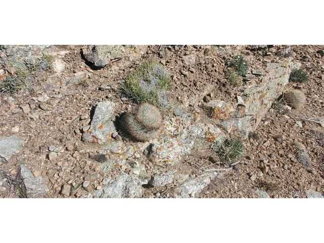 5820 Covington Rd, Fort Garland, CO 81133