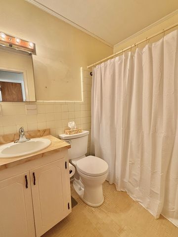 608 W Spring Ave, Geneva, AL 36340