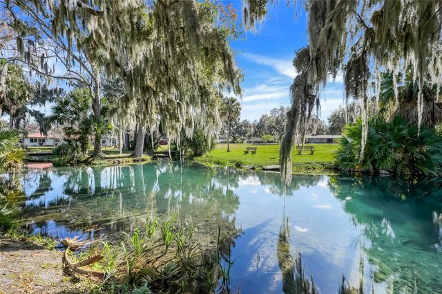 17 E LIVE OAK AVENUE, Yalaha, FL 34797