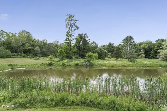 1161 County Route 408, Westerlo, NY 12193