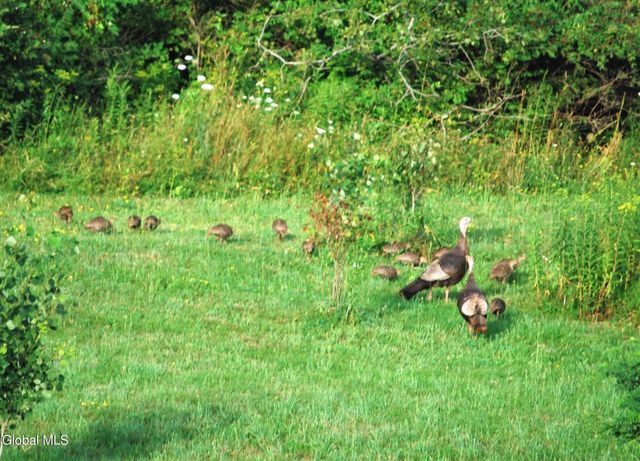 1161 County Route 408, Westerlo, NY 12193