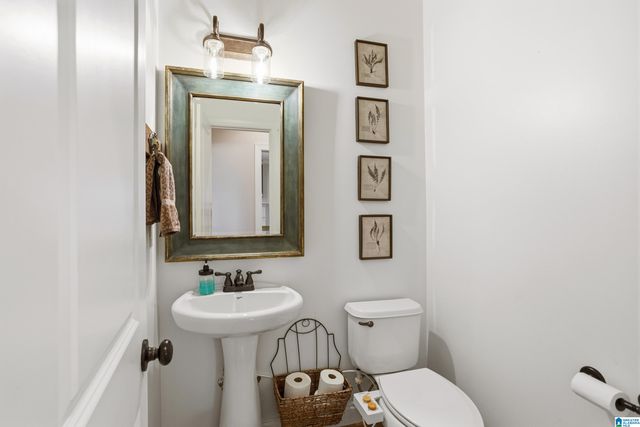 132 LAKELAND RIDGE, Chelsea, AL 35043