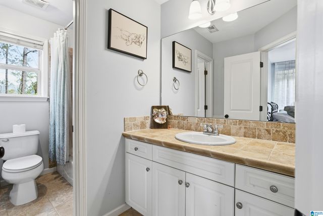 132 LAKELAND RIDGE, Chelsea, AL 35043