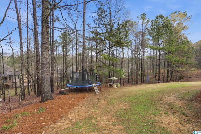 132 LAKELAND RIDGE, Chelsea, AL 35043
