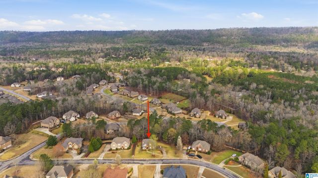 132 LAKELAND RIDGE, Chelsea, AL 35043