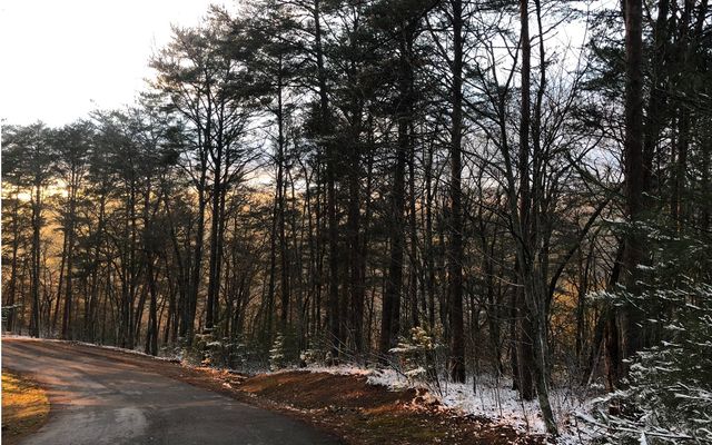 999 Blue Ridge Heights Drive, Blue Ridge, GA 30513