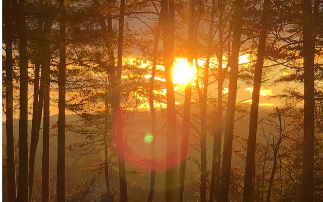 999 Blue Ridge Heights Drive, Blue Ridge, GA 30513