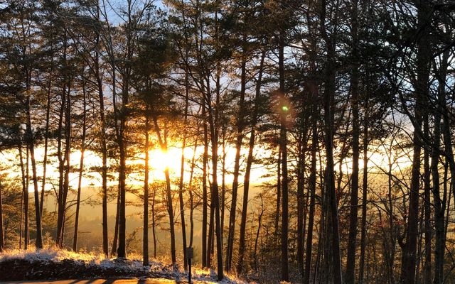 999 Blue Ridge Heights Drive, Blue Ridge, GA 30513