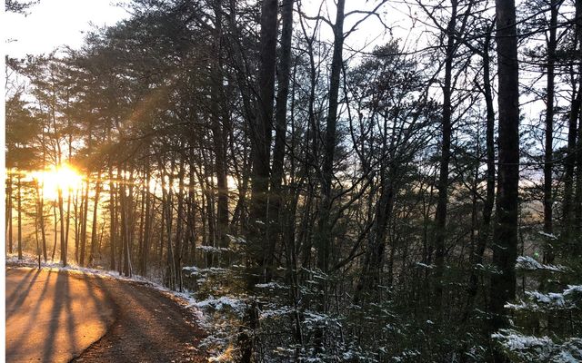 999 Blue Ridge Heights Drive, Blue Ridge, GA 30513