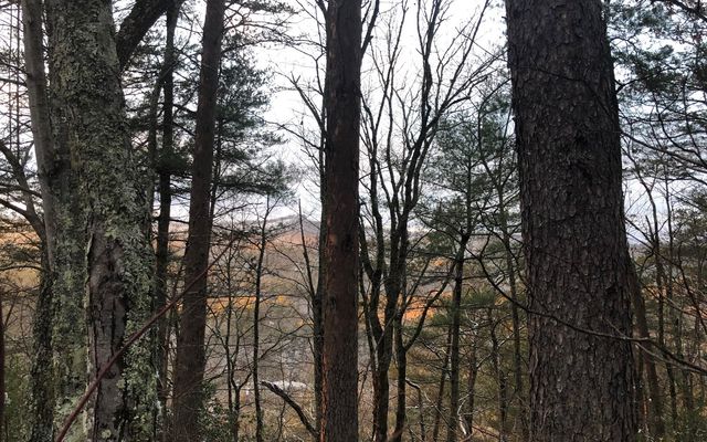 999 Blue Ridge Heights Drive, Blue Ridge, GA 30513