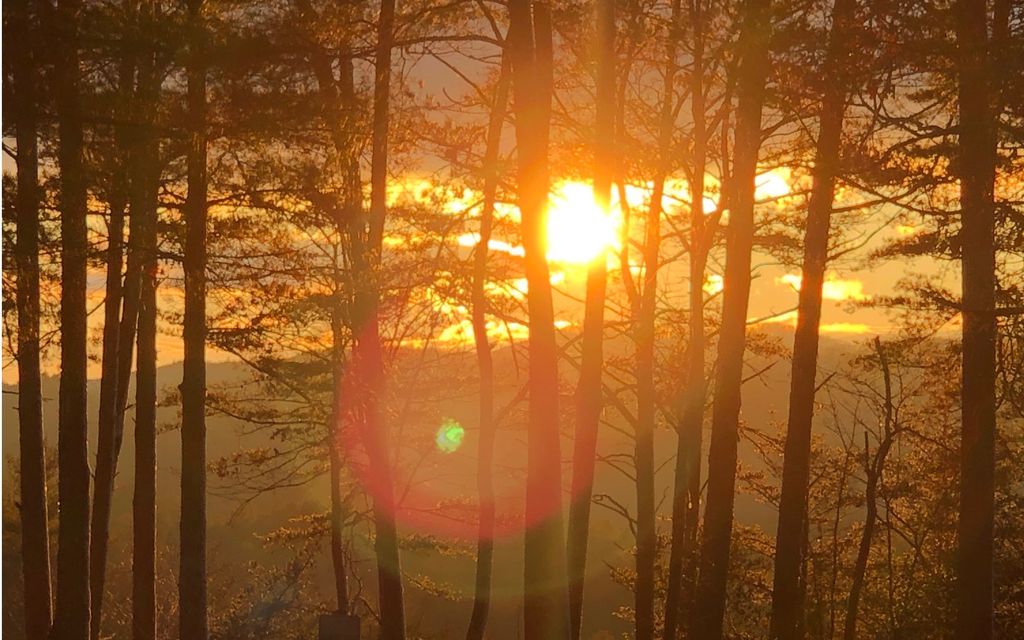 999 Blue Ridge Heights Drive, Blue Ridge, GA 30513