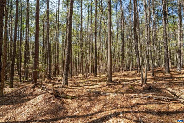 Lot 27 MARTIN KINGS RD, Charlottesville, VA 22902