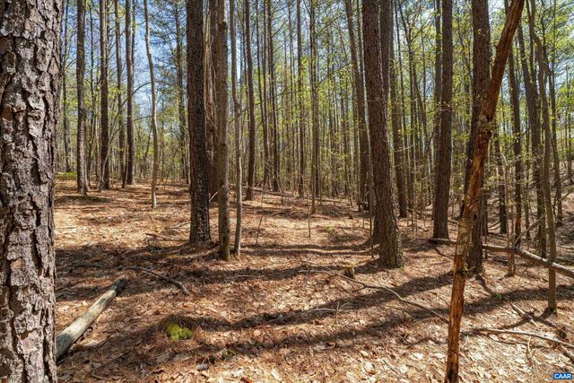 Lot 27 MARTIN KINGS RD, Charlottesville, VA 22902