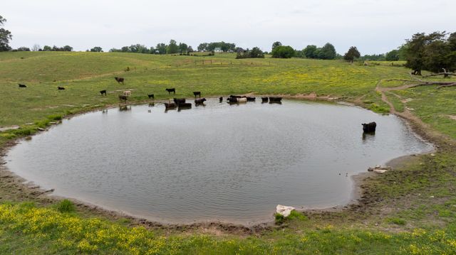 1496 S Bunker Hill Rd, Sparta, TN 38583