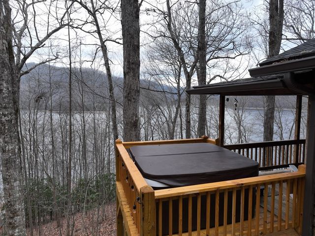 119 Rhododenron, Topton, NC 28781