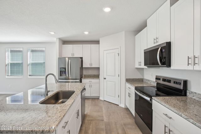 31583 WILD GRAPE Lane, Brooksville, FL 34602