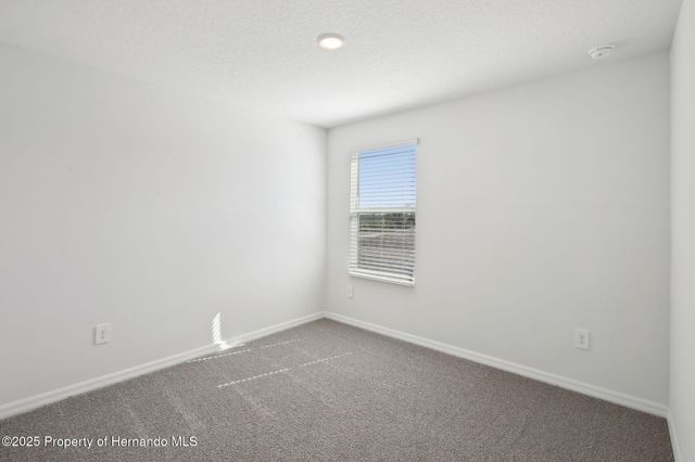 31583 WILD GRAPE Lane, Brooksville, FL 34602