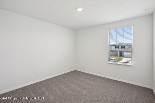 31583 WILD GRAPE Lane, Brooksville, FL 34602