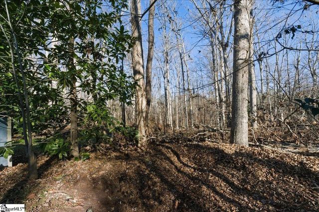 1051 W Duncan Road, Greenville, SC 29617