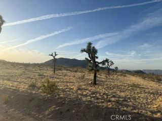 59860 Stearman, Landers, CA 92285