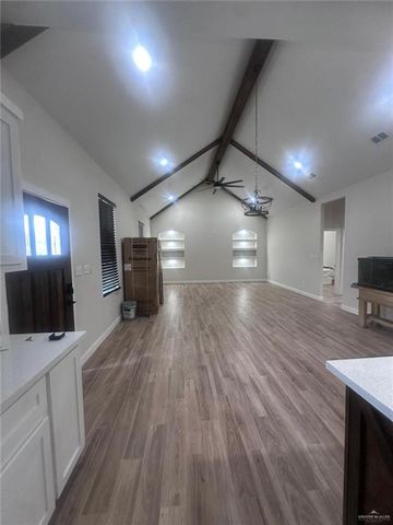 2713 Turtle Drive, Palmview, TX 78572