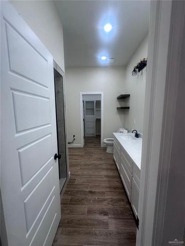 2713 Turtle Drive, Palmview, TX 78572