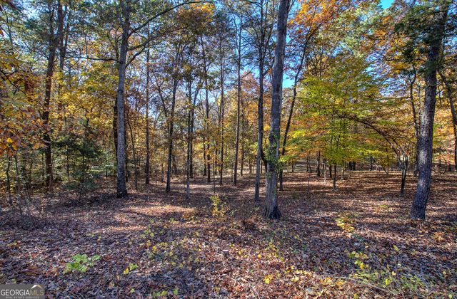 2253 Hills Creek Road, Taylorsville, GA 30178