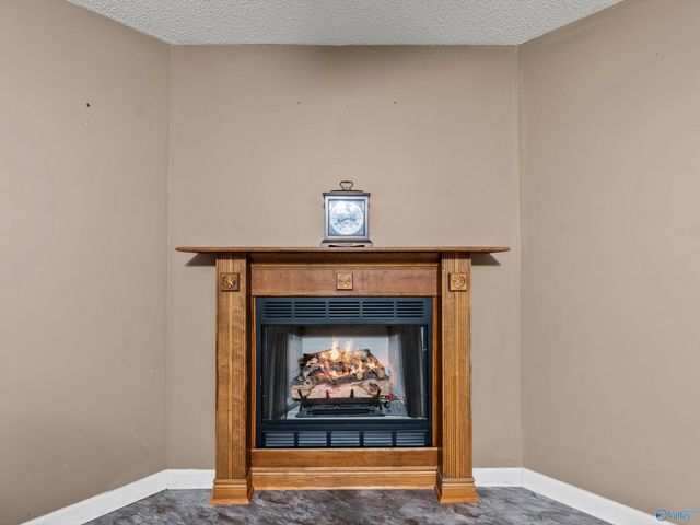 6934 Old Railroad Bed Road, Toney, AL 35773