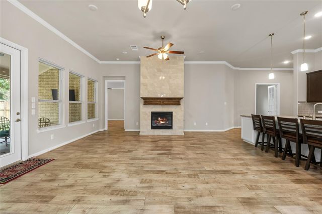 120 Crinium Lily Court, Montgomery, TX 77316