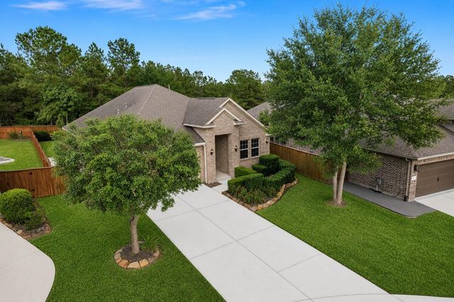 120 Crinium Lily Court, Montgomery, TX 77316