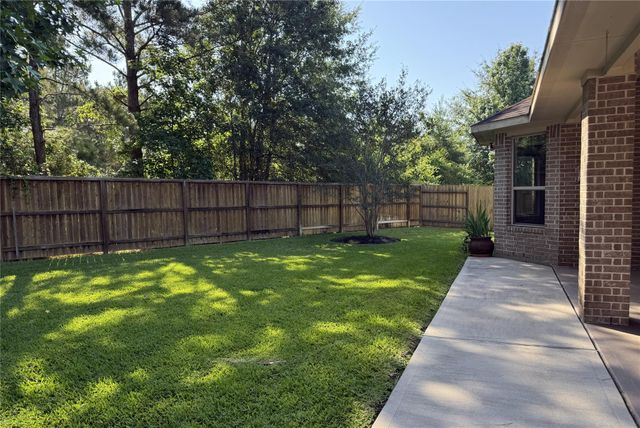 120 Crinium Lily Court, Montgomery, TX 77316