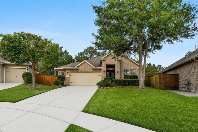 120 Crinium Lily Court, Montgomery, TX 77316