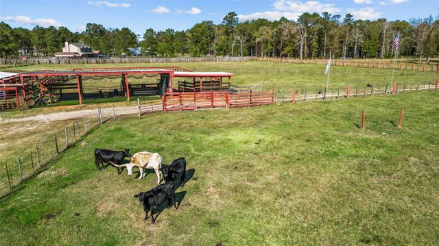 245 Alabama Point, Livingston, TX 77351