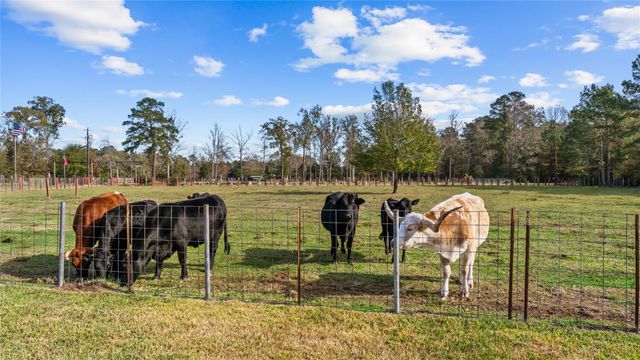 245 Alabama Point, Livingston, TX 77351