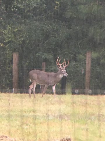 245 Alabama Point, Livingston, TX 77351