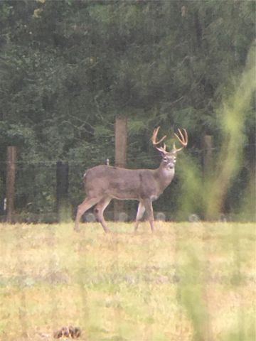 245 Alabama Point, Livingston, TX 77351