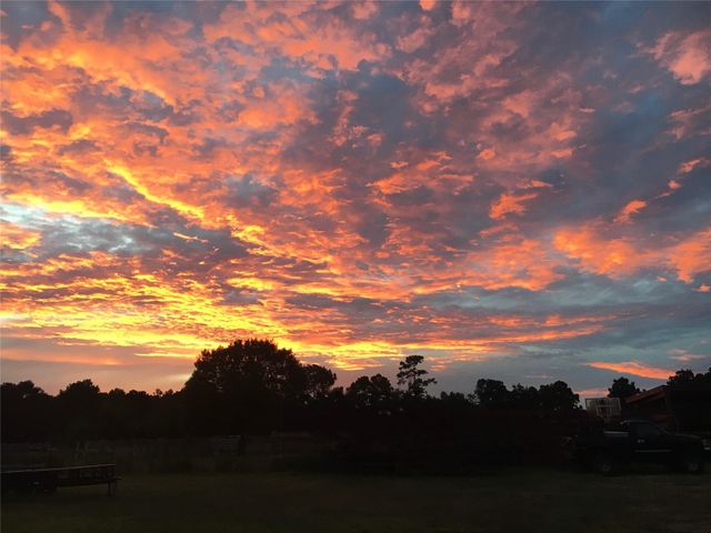 245 Alabama Point, Livingston, TX 77351