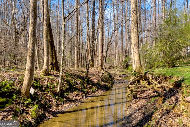 127 Mountainside Drive E, Dawsonville, GA 30534