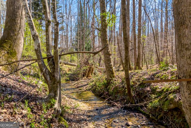 127 Mountainside Drive E, Dawsonville, GA 30534