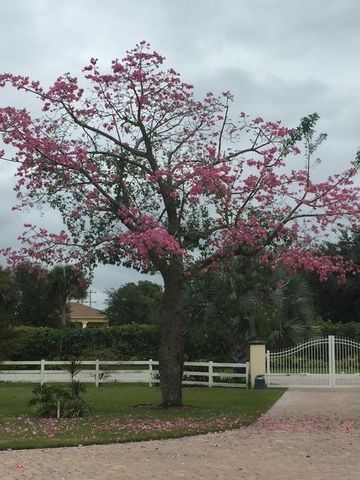 650 E Rambling Drive, Wellington, FL 33414