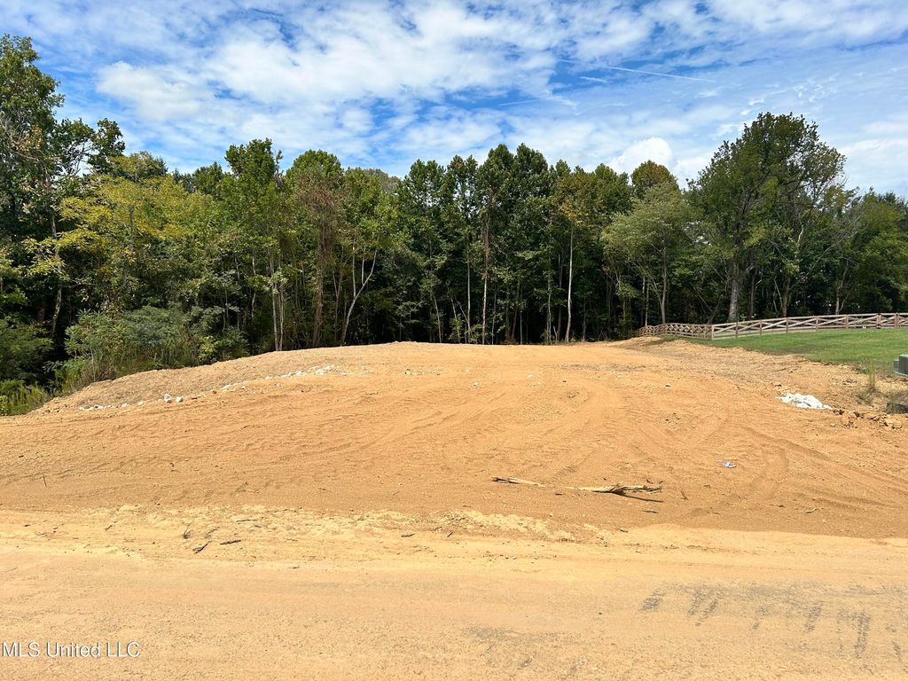 86 Pebble Ridge Drive, Byhalia, MS 38611 — photo 2