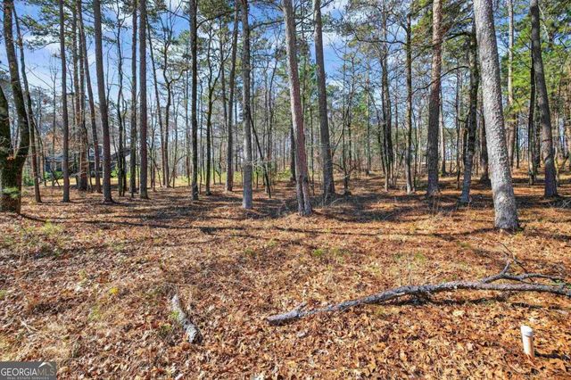 1841 Osprey Poynte, Greensboro, GA 30642