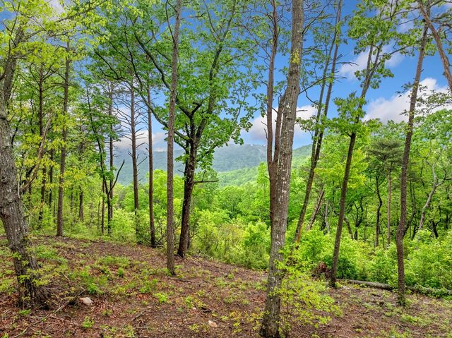 Lot 53 High Summit Drive, Talking Rock, GA 30175