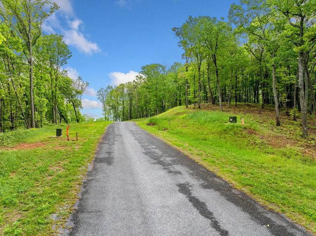 Lot 53 High Summit Drive, Talking Rock, GA 30175