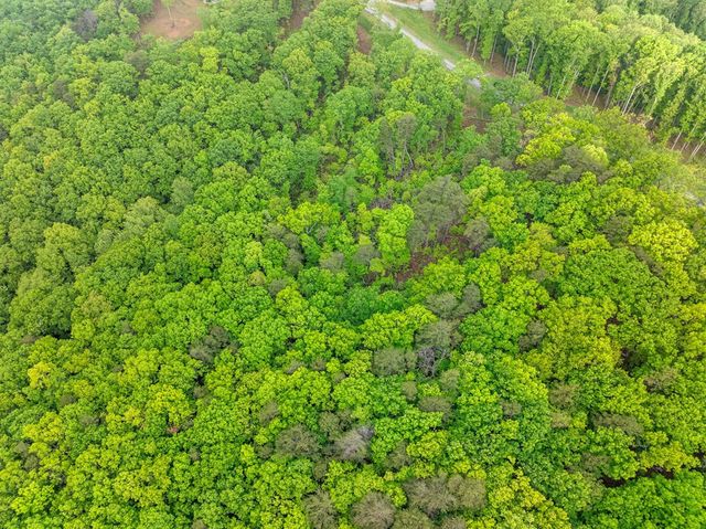 Lot 53 High Summit Drive, Talking Rock, GA 30175