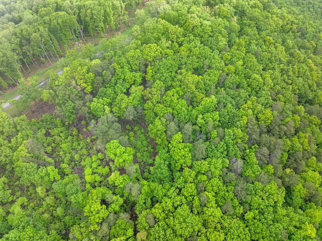 Lot 53 High Summit Drive, Talking Rock, GA 30175