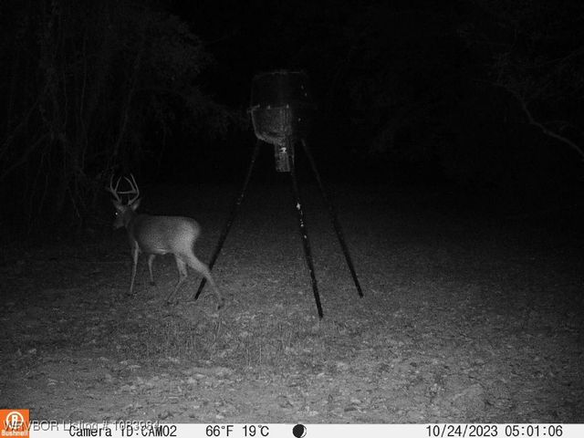 8979 Grand Prairie Road, Charleston, AR 72933