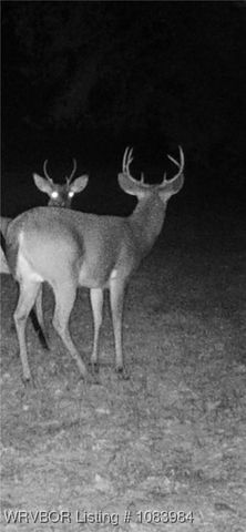 8979 Grand Prairie Road, Charleston, AR 72933