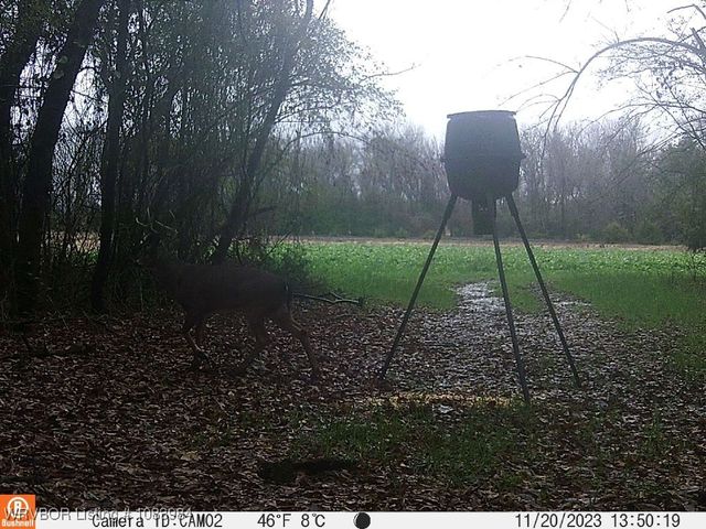 8979 Grand Prairie Road, Charleston, AR 72933